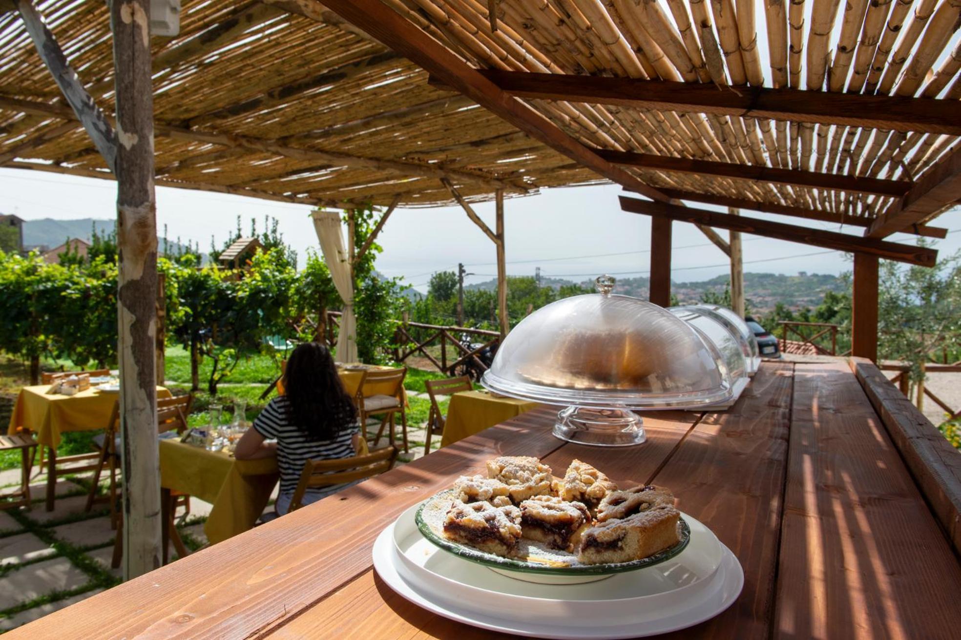 Il Vigneto Di Nonno Pietro Bed & Breakfast Agerola Luaran gambar